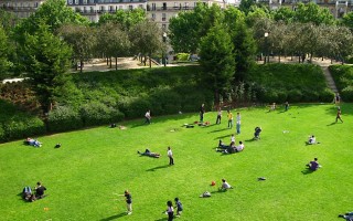 Verde urbano, la sua importanza è emersa con il lockdown