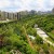 “Città Verdi”, al via il piano FAO per migliorare la sostenibilità urbana