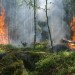 La crisi climatica sposta gli incendi verso nuovi ecosistemi