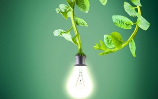 Green Energy Storage, l'energia arriva dalle piante