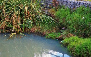 Greenpeace: "In Veneto 800000 persone rischiano di bere acqua contaminata da PFAS"