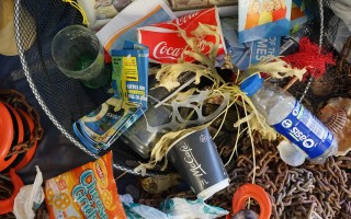 Emergenza plastiche: la soluzione è circolare