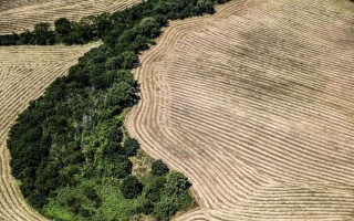 Neanche la pandemia ferma il consumo di suolo 