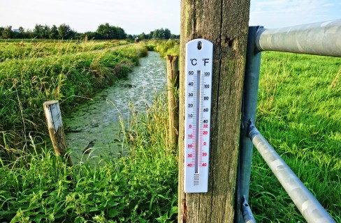 Siccità, malattie, inondazioni e ondate di calore. Preoccupanti le previsioni del dossier di EEA