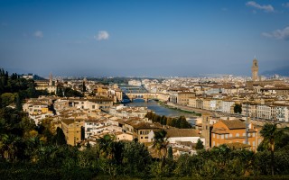 toscana firenze alberi